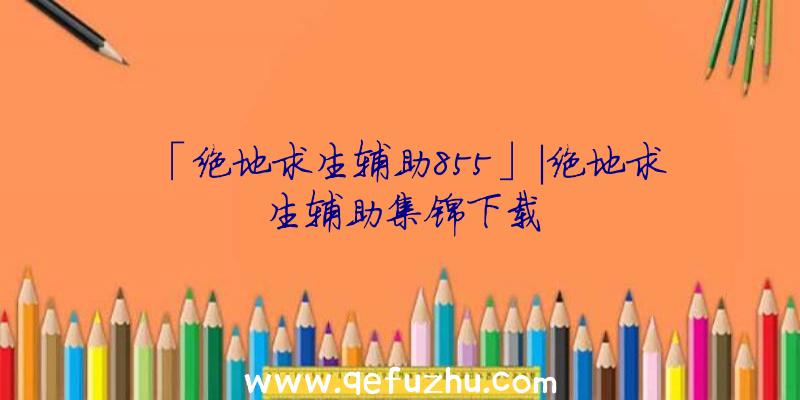 「绝地求生辅助855」|绝地求生辅助集锦下载